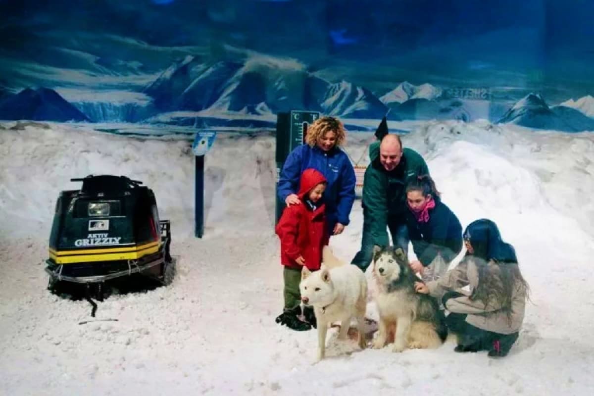 International Antarctic Centre