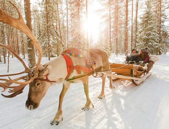 Snow Fun and Arctic Culture