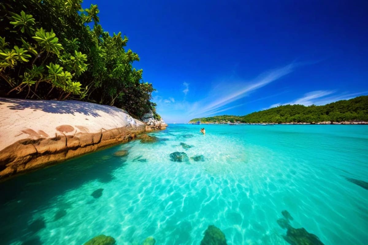 Cham Island day tour