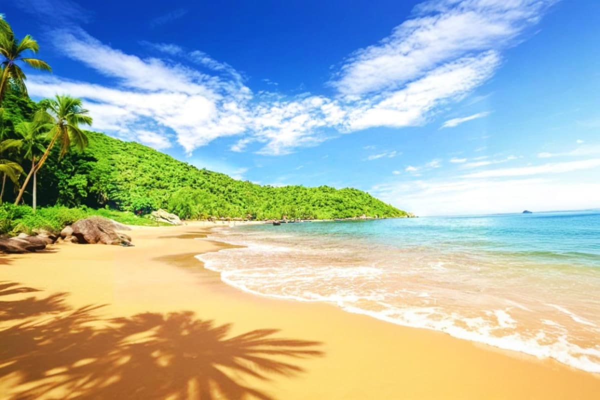 Cham Island day tour