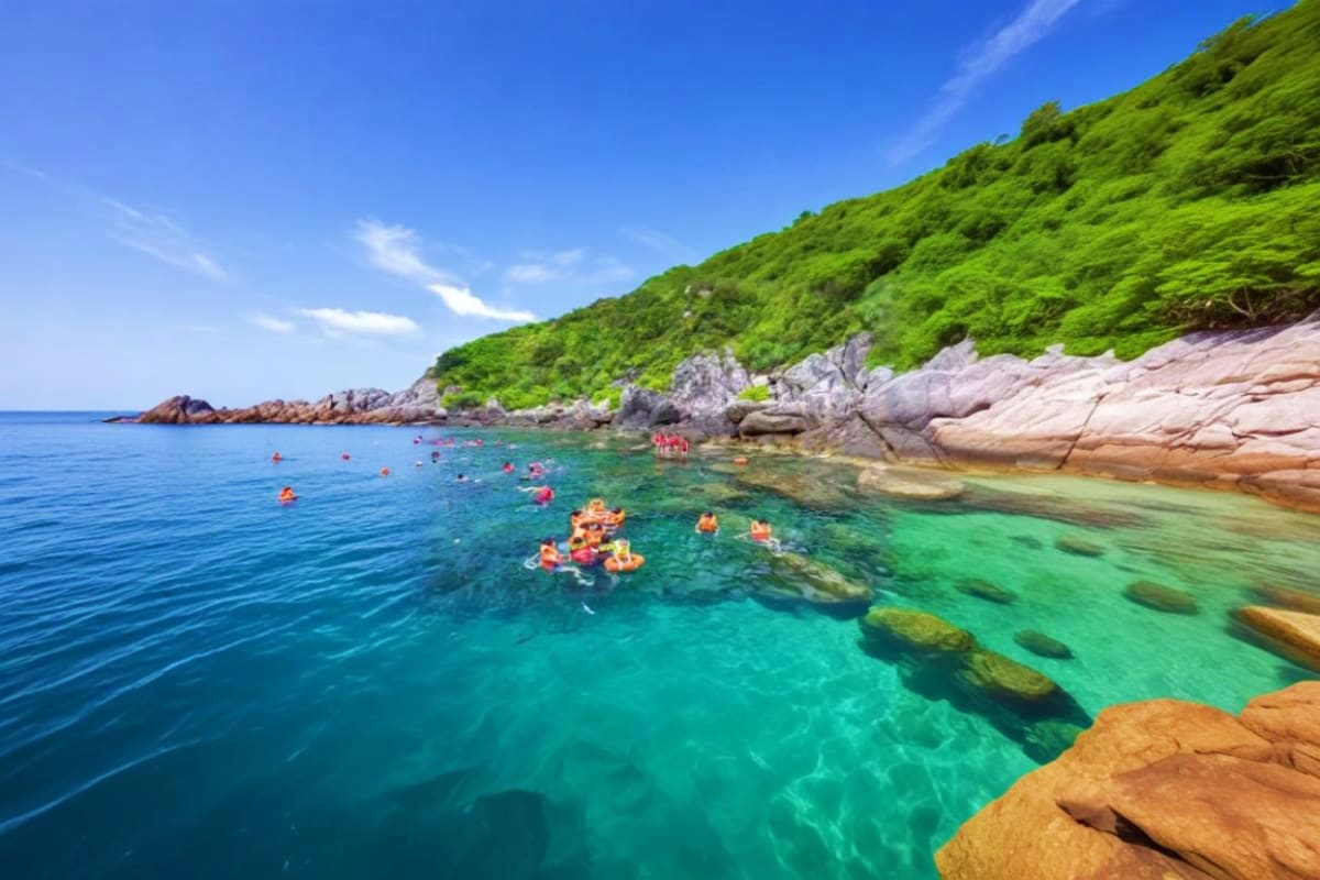 Cham Island day tour