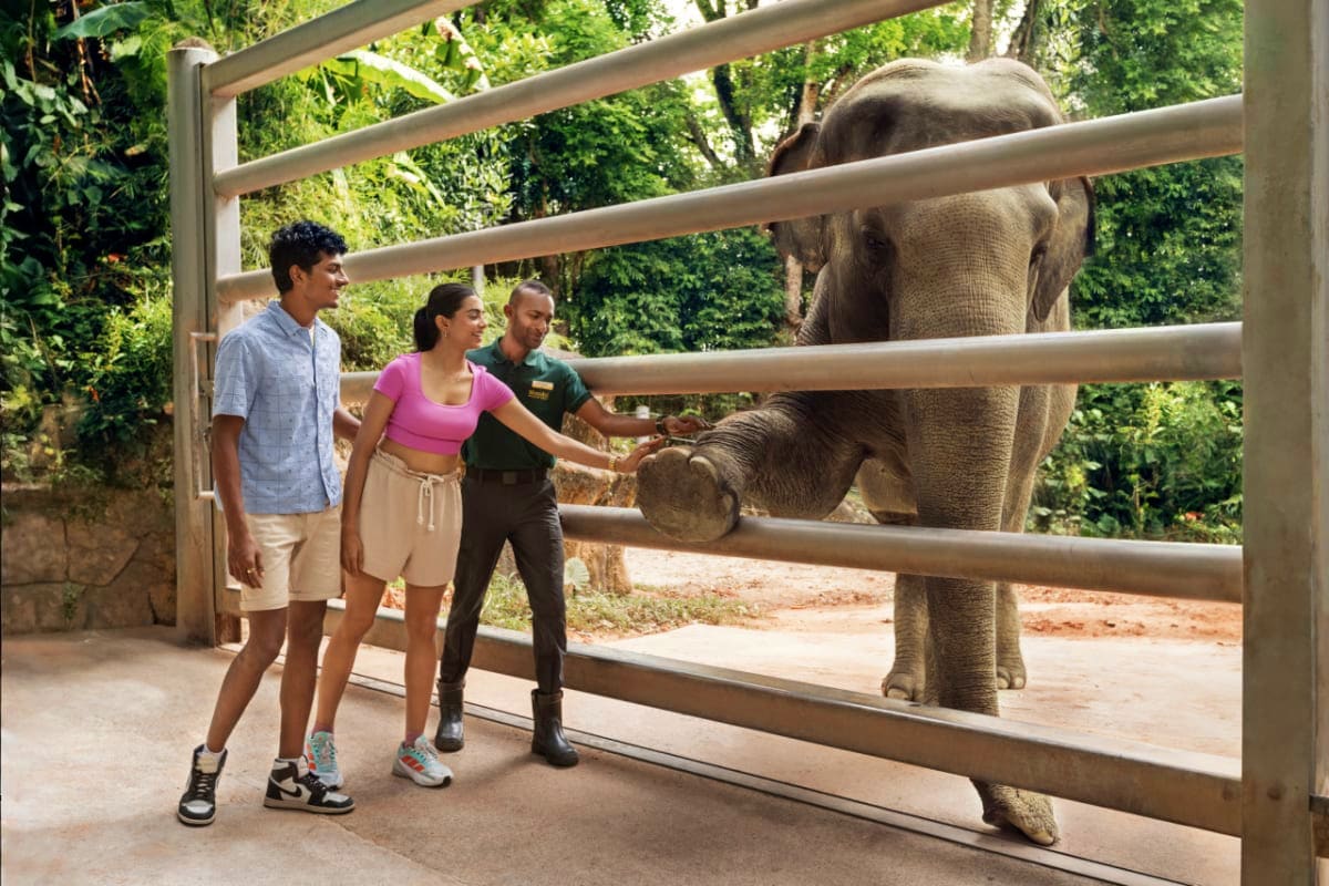 zoo-of-singapore