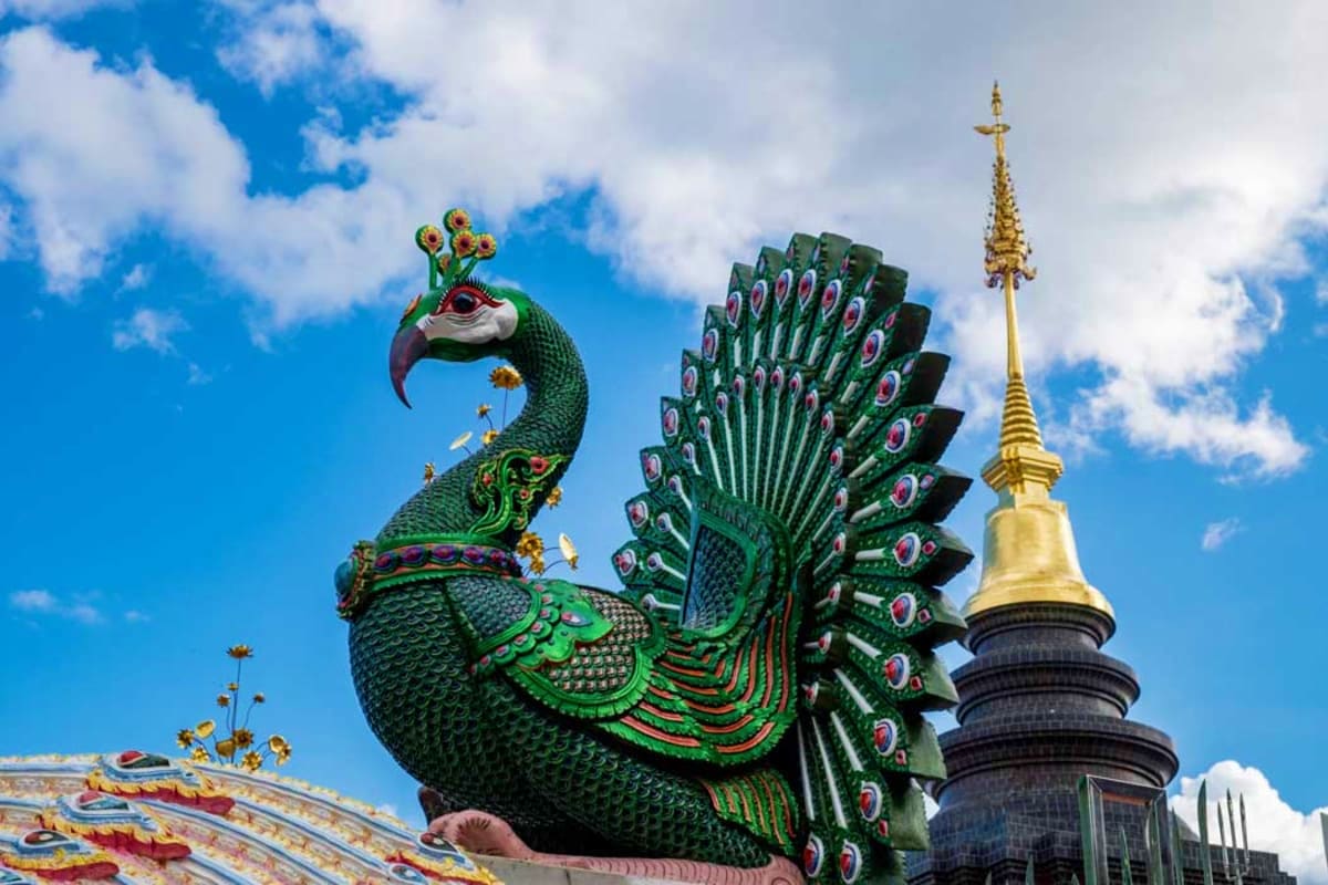 White & Blue Temple with Black Museum Tour from Chiang Mai