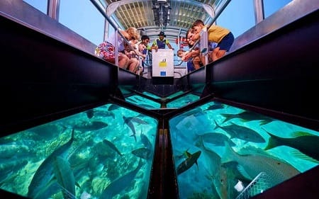 Day 3 – Full Day Glass Bottom Boat Excursion with Lunch Day 3 – Full Day Glass Bottom Boat Excursion with Lunch