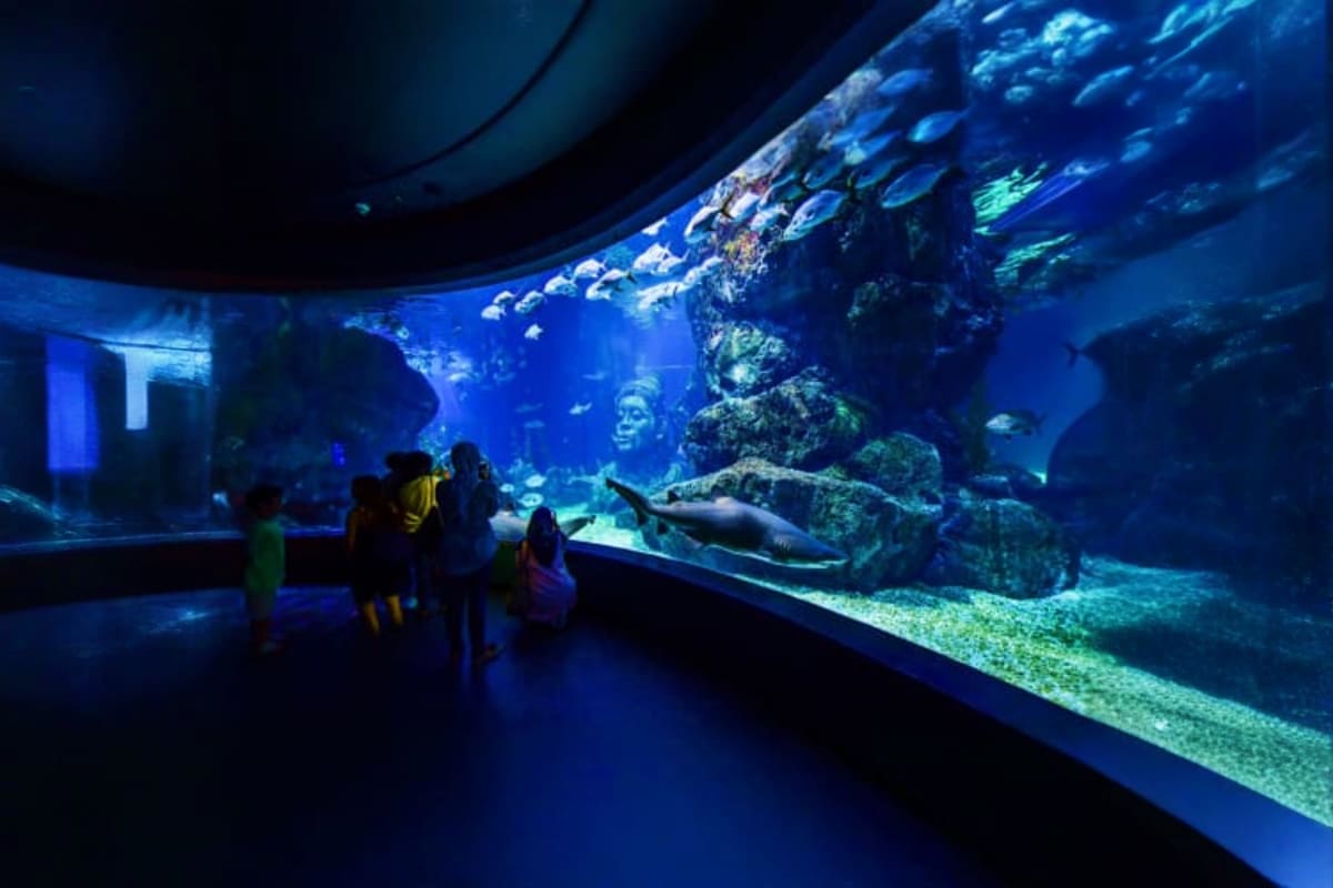Sea Life Bangkok Ocean World Sea Life Bangkok Ocean World