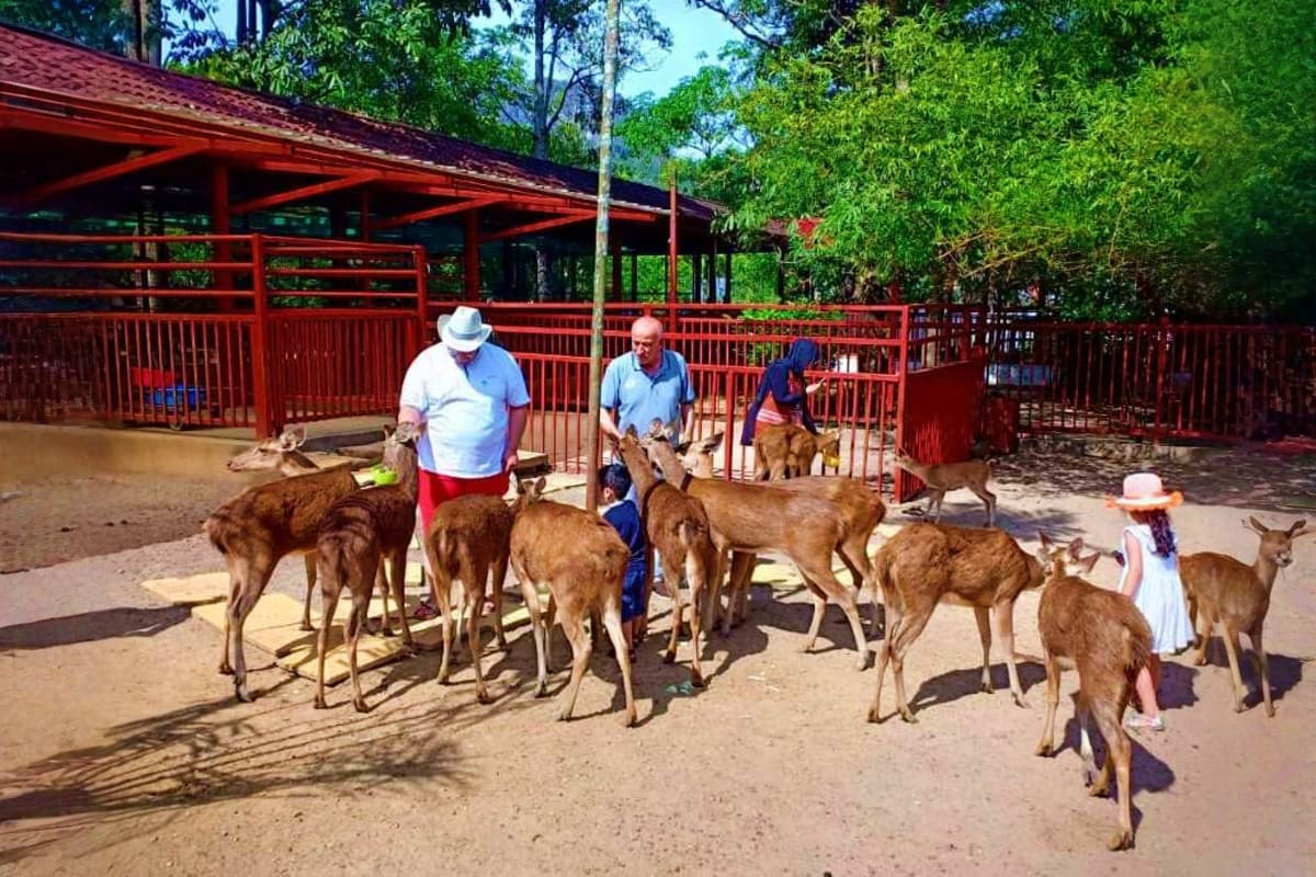 Langkawi Wildlife Park