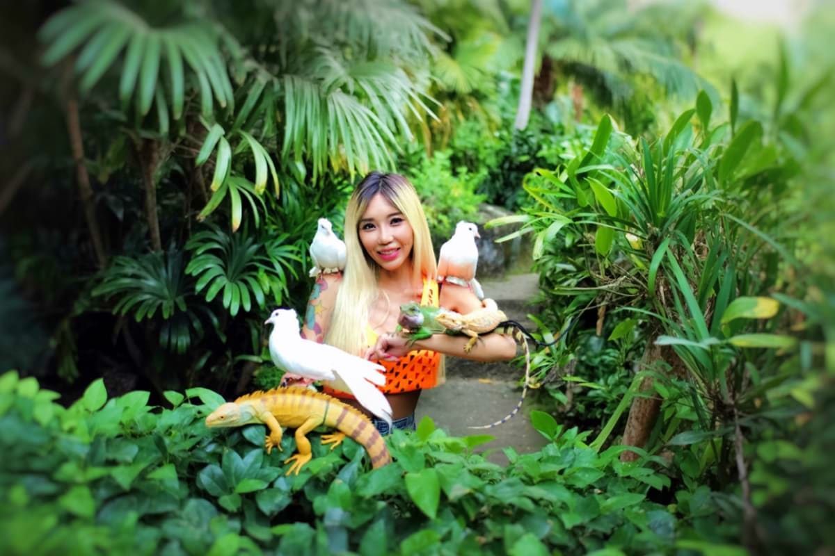 Langkawi Wildlife Park