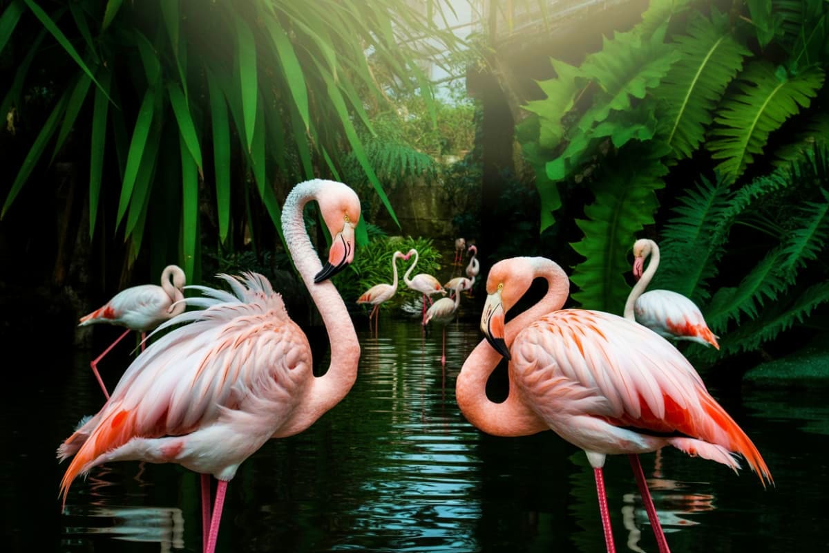 Langkawi Wildlife Park