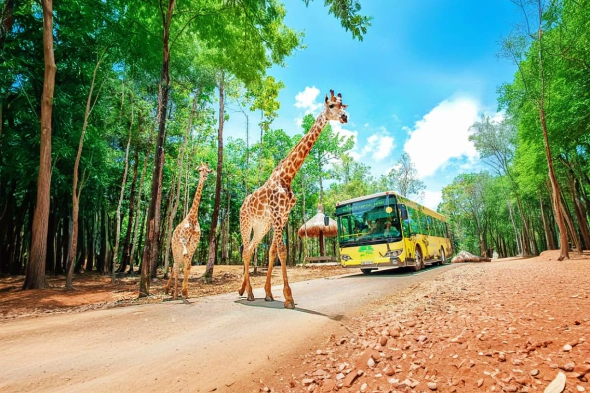 VinWonders Safari