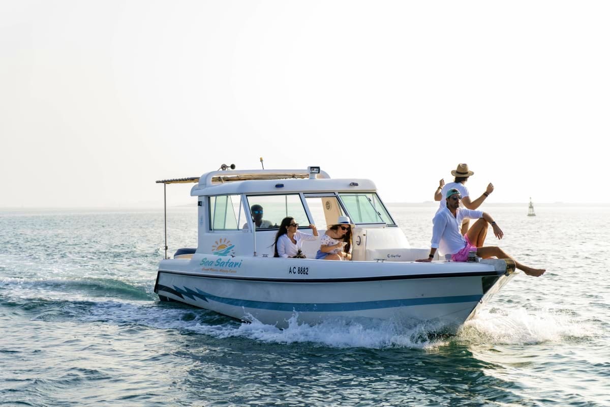 Island Hopping