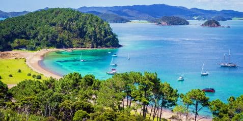 Bay Of Islands, New Zealand- Tender 