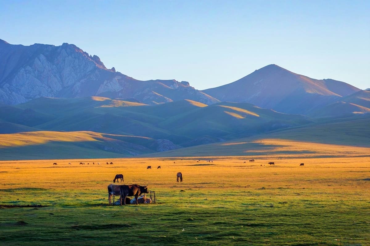 Landscape