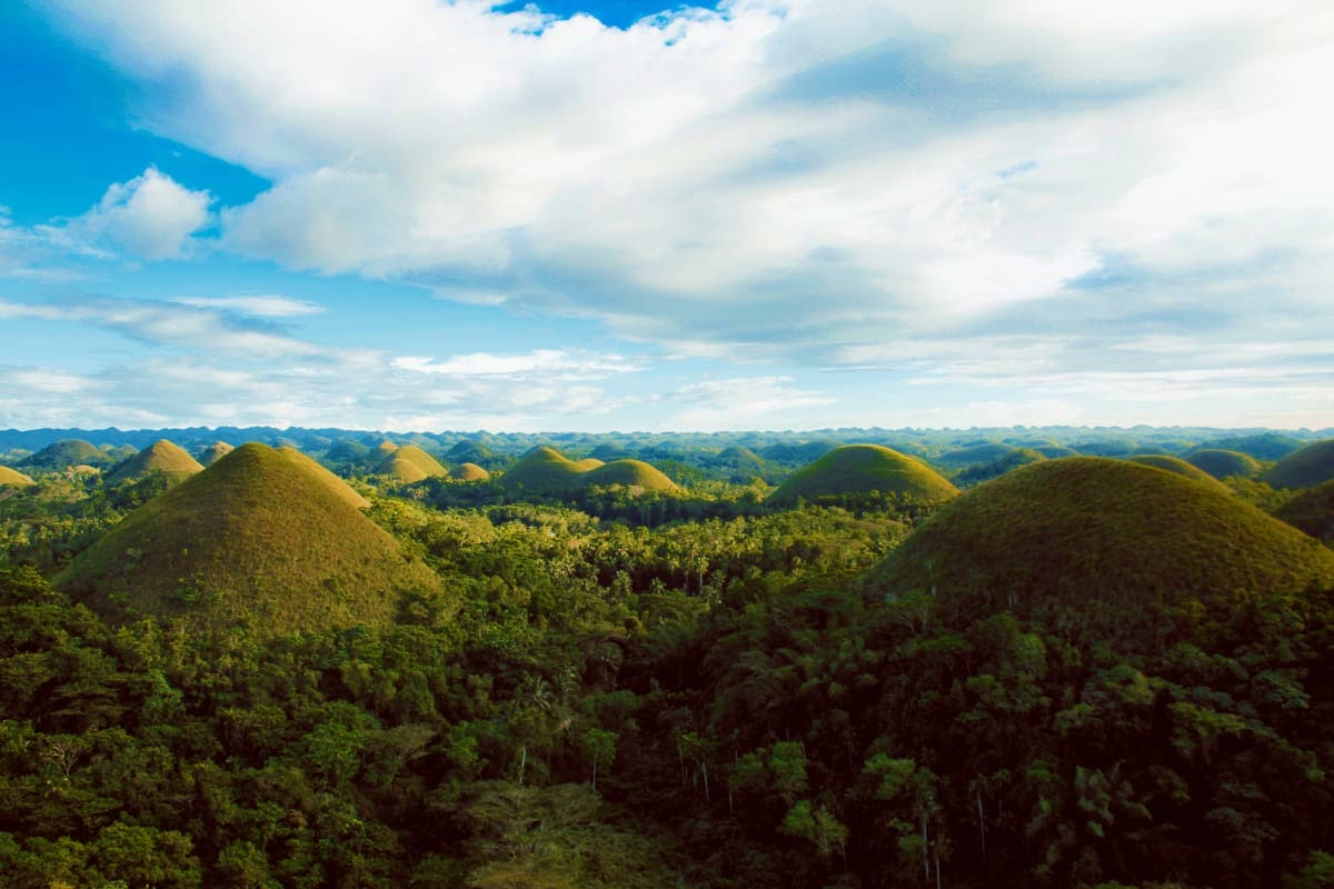 Chocolate Hills