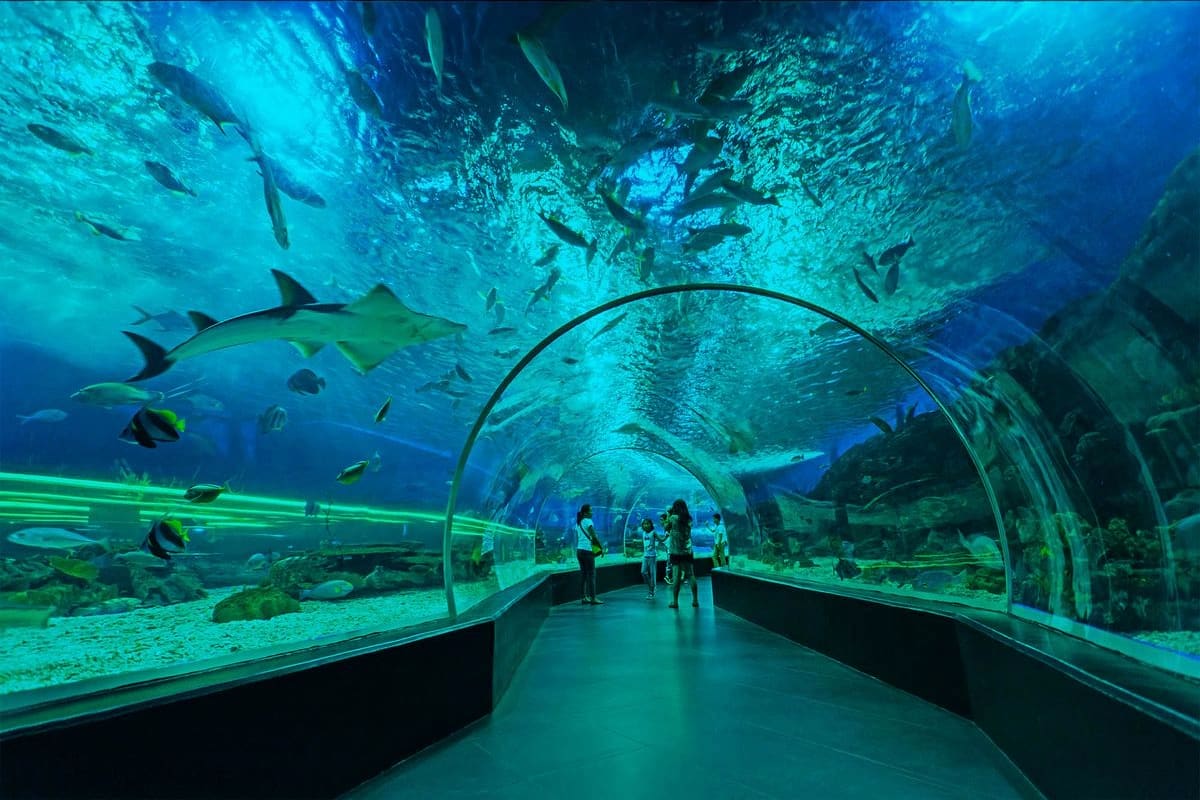 Highlights of Philippines in 8 days Manila Ocean Park