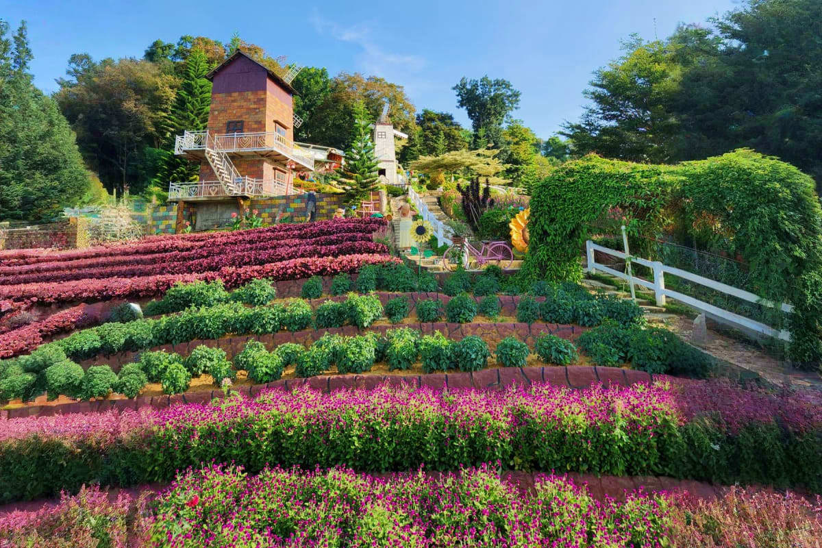 Sirao Flower Garden