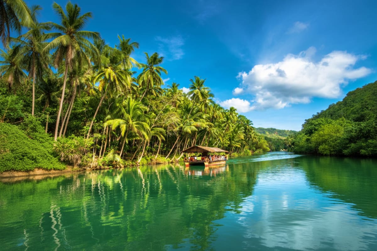 Cebu and Bohol Highlights Tour with Twin City Tour Chocolate Hills and Loboc River Cruise