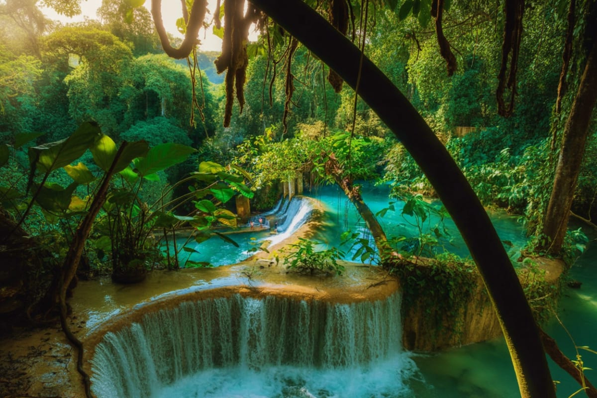 Cebu and Bohol Highlights Tour with Chocolate Hills Tarsier Sanctuary and Loboc River Cruise