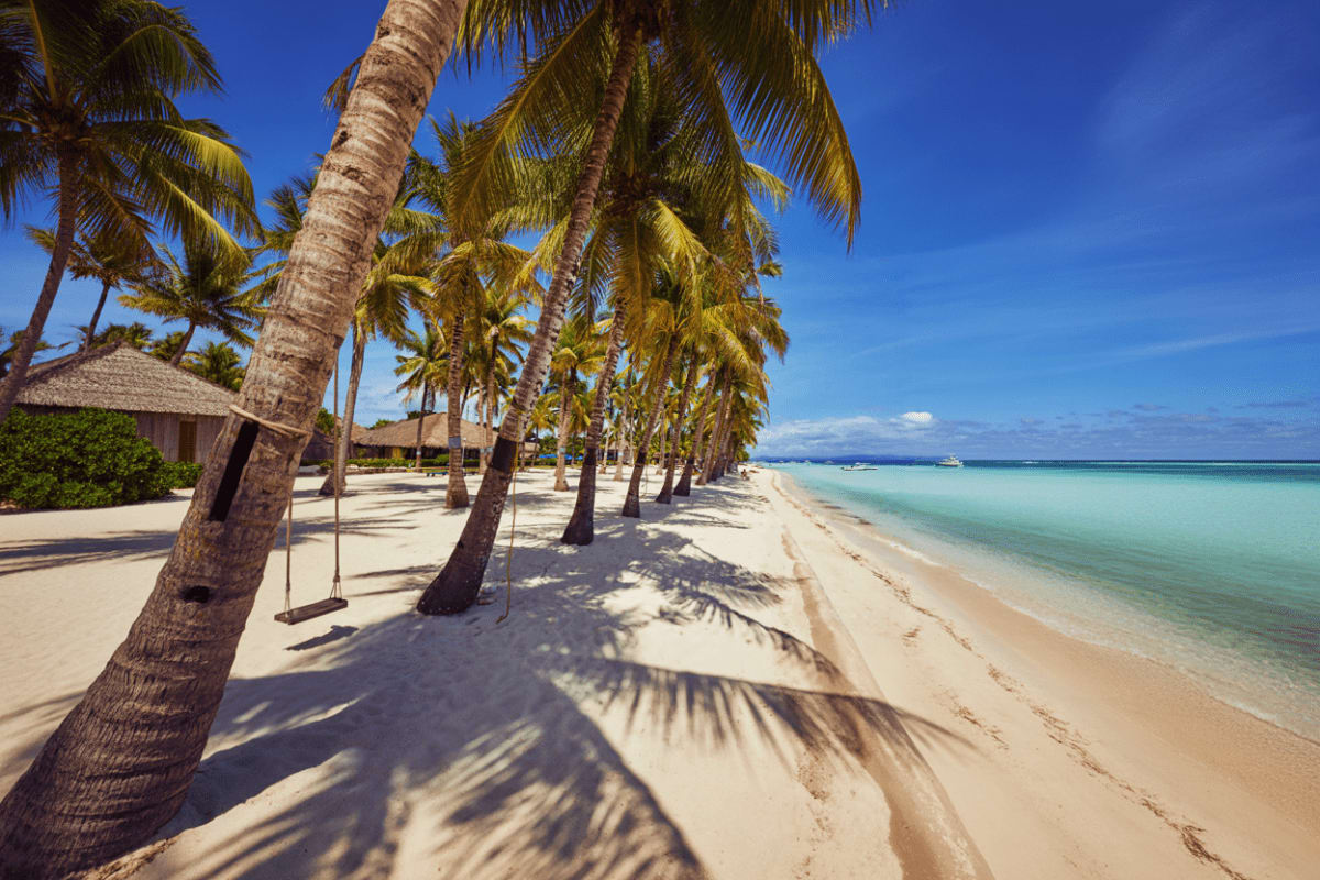 Cebu and Bohol Highlights Tour with Chocolate Hills Tarsier Sanctuary and Loboc River Cruise