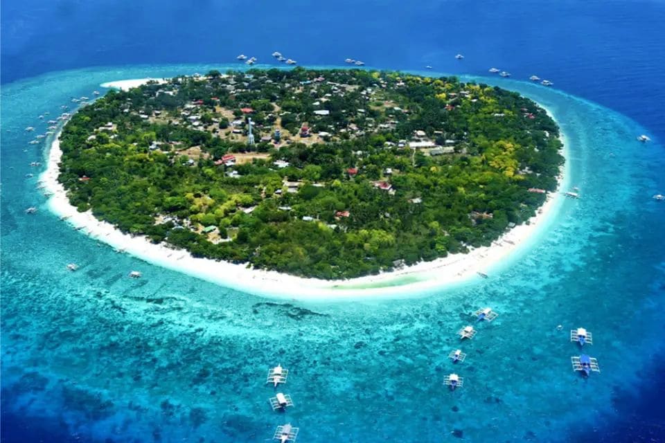 Panglao Island Beach & Snorkeling Panglao Island Beach & Snorkeling