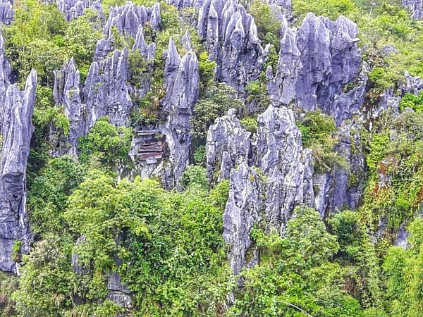 Sagada and Bontoc Cultural Tour