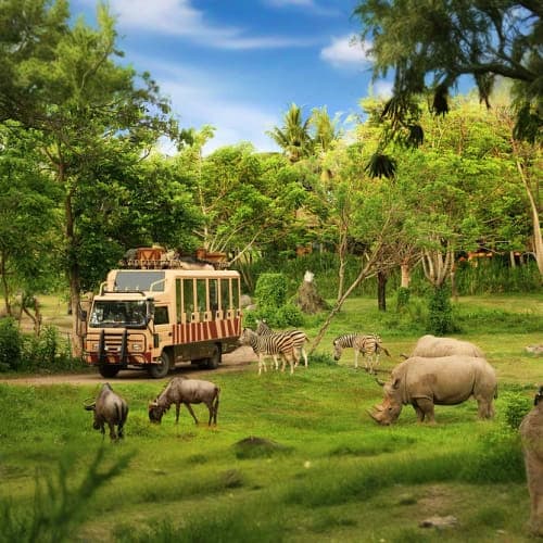 Wildlife Adventure at Vinpearl Safari Phu Quoc Wildlife Adventure at Vinpearl Safari Phu Quoc