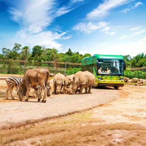 VinWonders and Safari