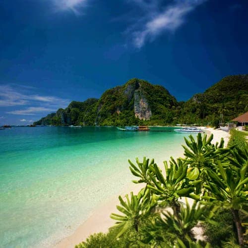 Phi Phi Island Tour by Speedboat with Lunch