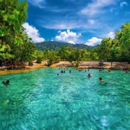 Krabi Rainforest Discovery – Nature’s Hidden Treasures