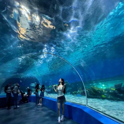 Manila Ocean park Manila Ocean park