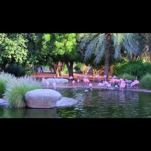 al_ain_zoo
