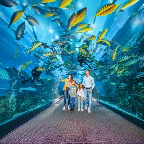 aquarium_underwater
