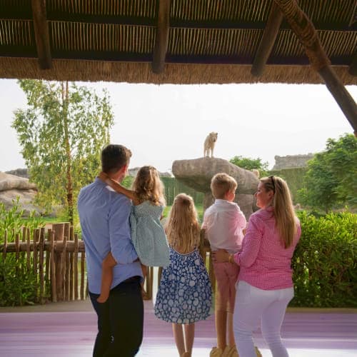 park-in dubai