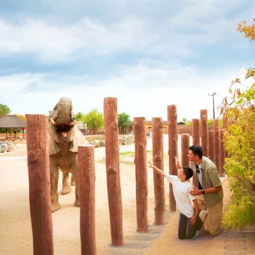 safari-park-dubai
