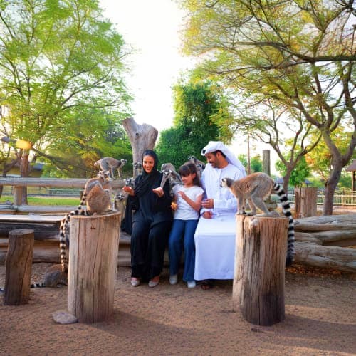 family-in-dubai-safari-park