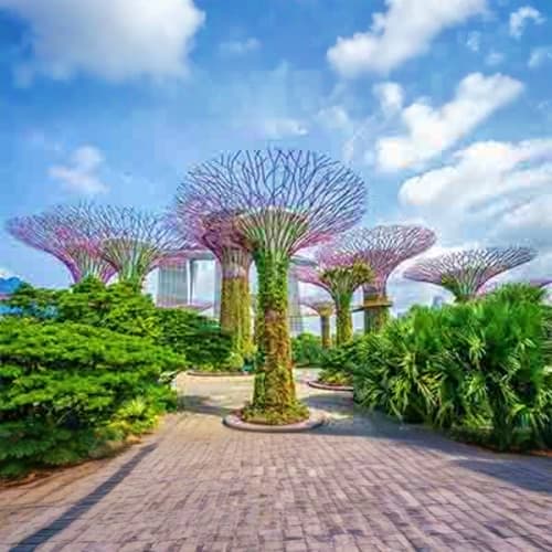 Gardens by the Bay garden-by-the_bay