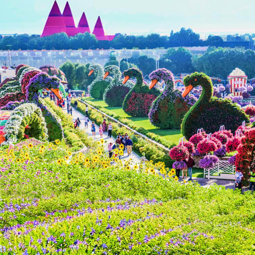 miracle_garden_two