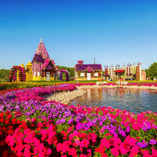 miracle_garden_four
