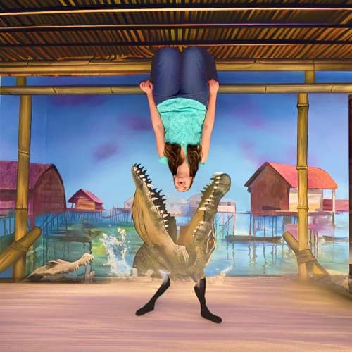 museum_of_illusion_gator