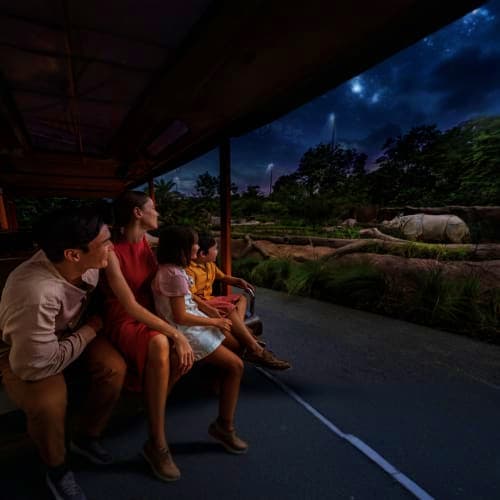 night-safari-singapore