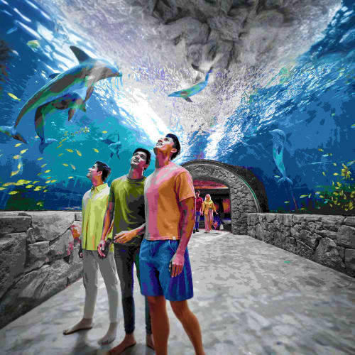 Sea_world