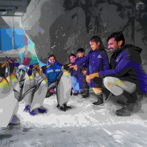 Penguin_cove_Dubai