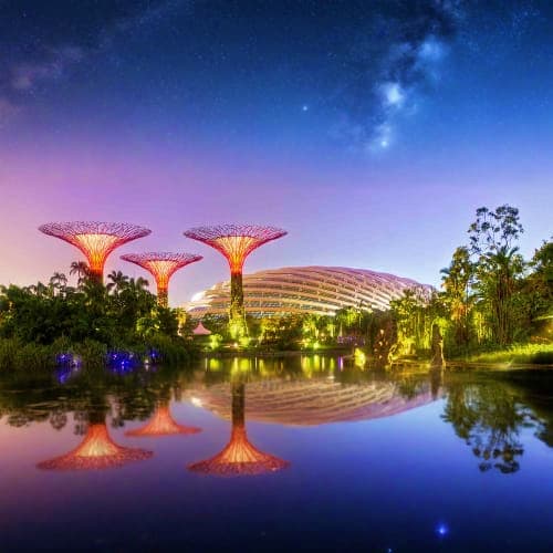 Singapore City Tour With Guide garden-by-the-bay