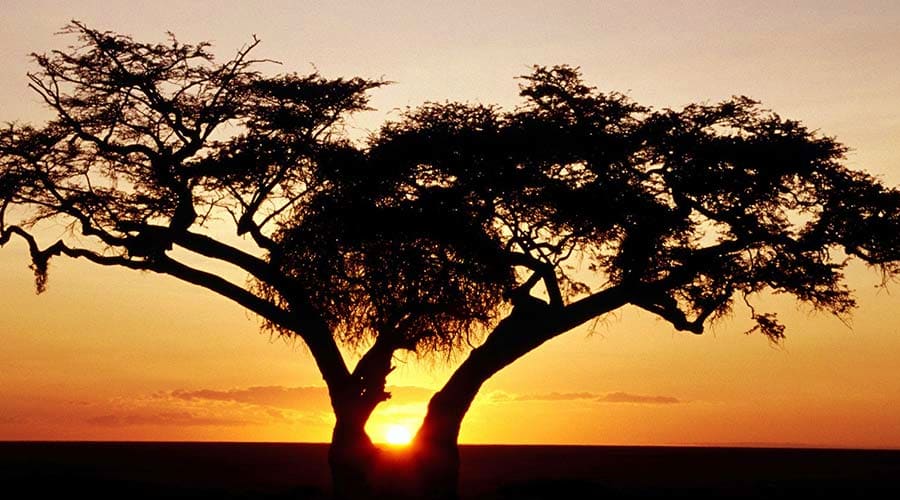 Sunrise Safari Dubai sunrise morning
