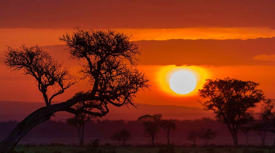 Sunrise Safari Dubai sunrise