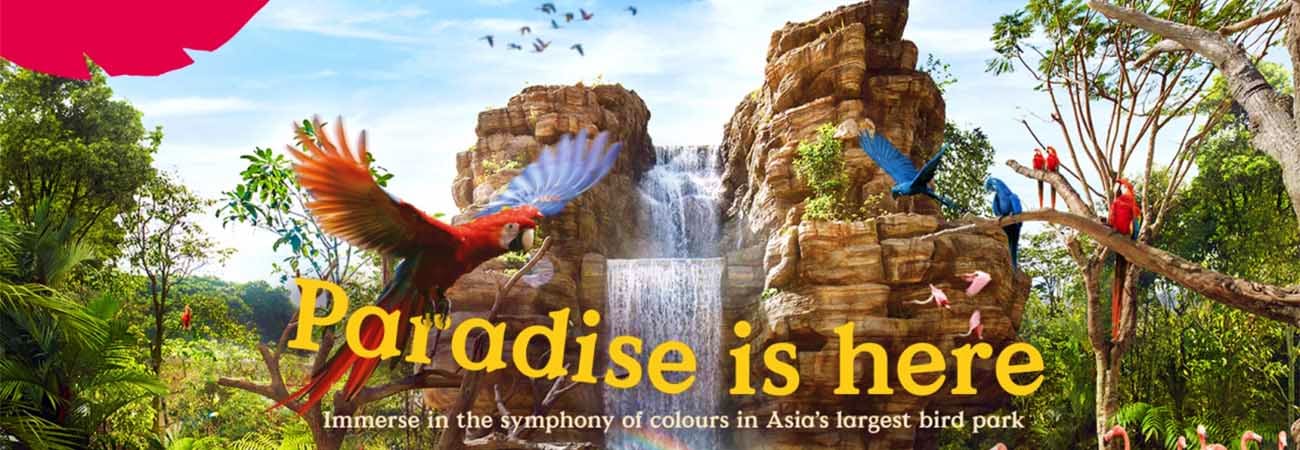 bird-paradise