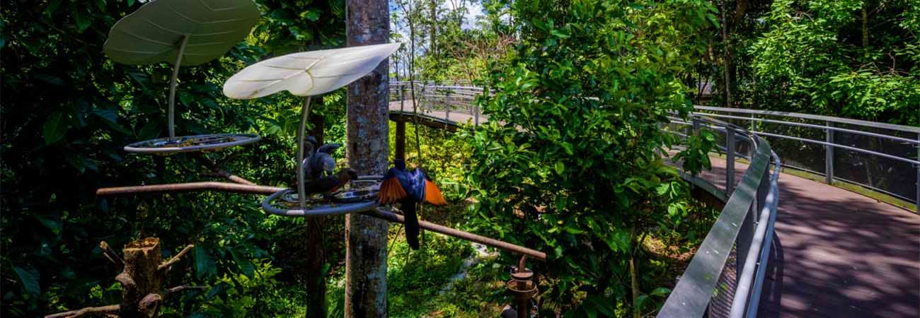 Bird Paradise Singapore singapore-bird-paradise