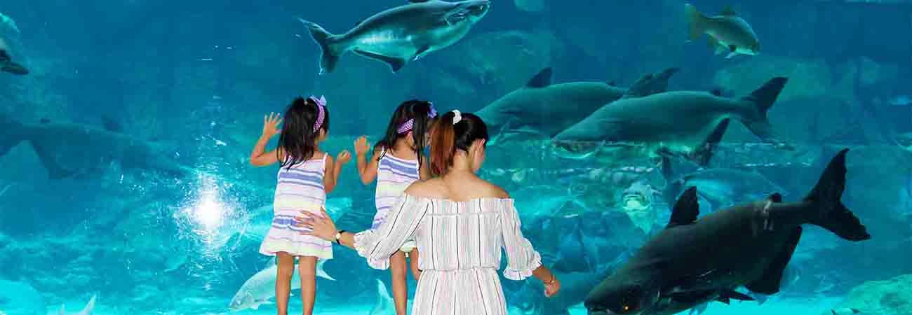 river-safari-singapore-city