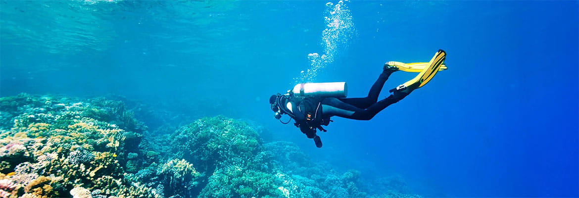 scuba-diving