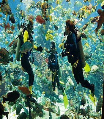 Scuba Diving Tour scuba-diving