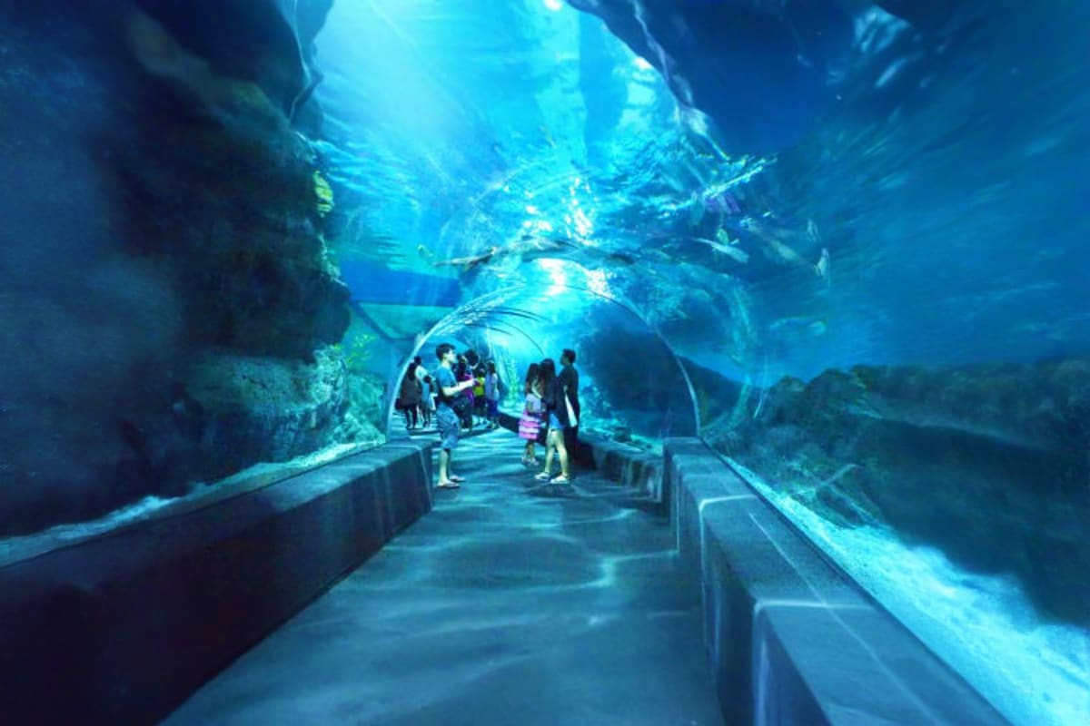 Sea Life Bangkok Ocean World